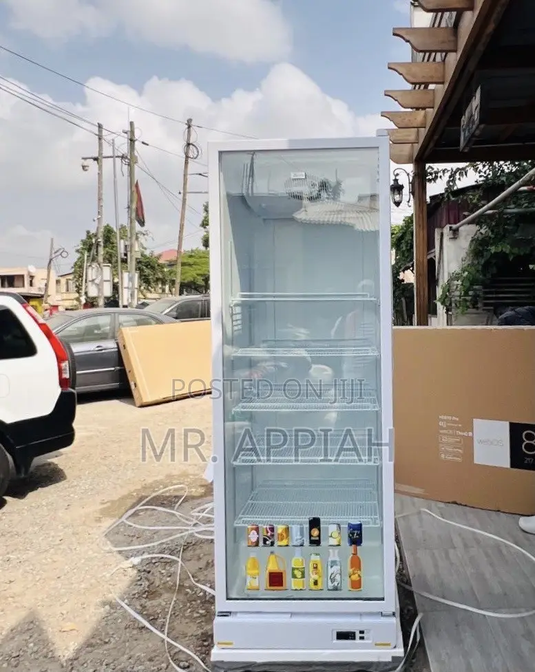 Choose Durable Zara 600bf Electric Displat Fridge