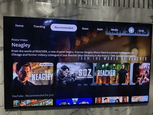 Sony Olsd TV 55inches