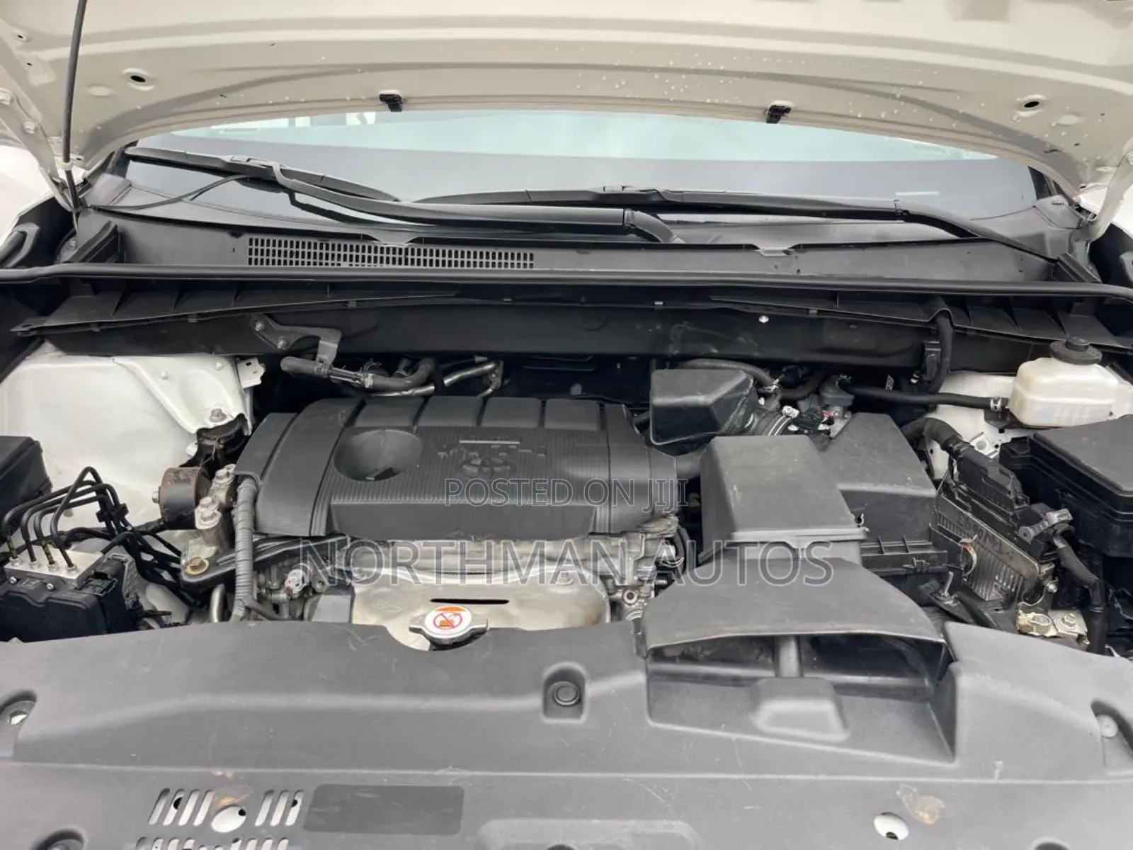 Toyota Highlander LE Plus 2019 White