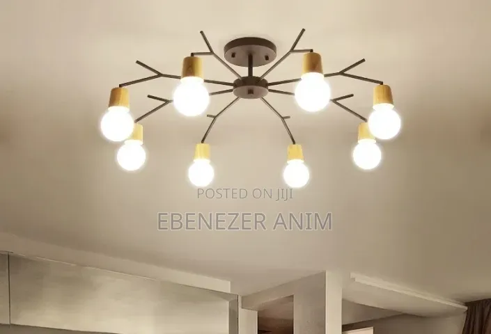 Ebf Deluxe Lights