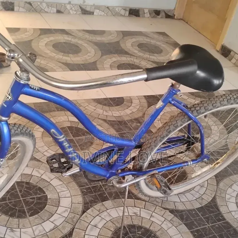 Blue Bicycle Solid Home Use