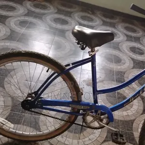 Blue Bicycle Solid Home Use
