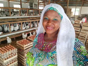 Big Eggs for Sale