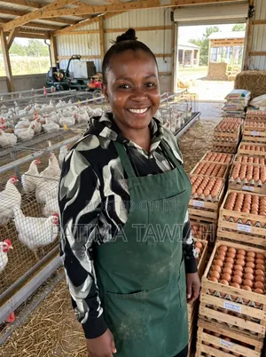 Big Eggs for Sale
