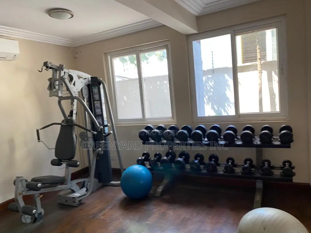 Furnished 3bdrm Apartment in Nyaniba Estate, Osu for sale