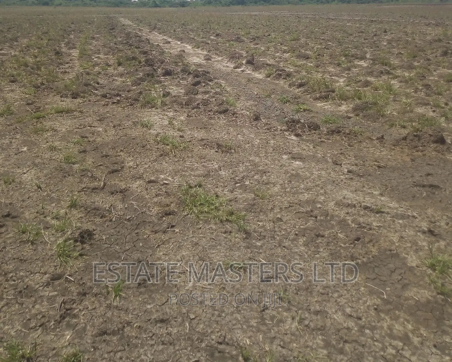 Residential Area Plots Near the New Airport