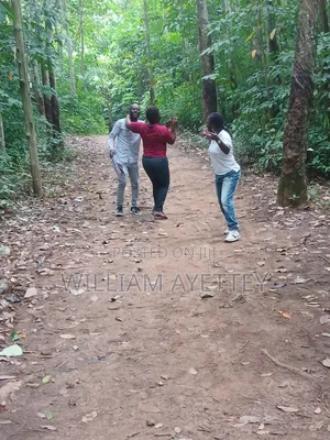 A 2 Acre Land for Sale at Tepa - Ahafo