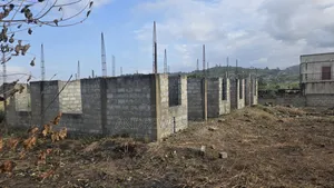 Registered Land