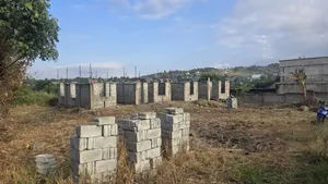 Registered Land
