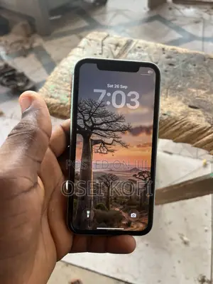 New Apple iPhone 11 64 GB Green