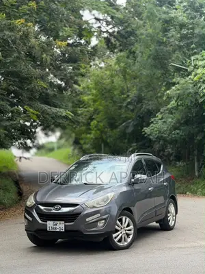 Hyundai Tucson 2014 Gray