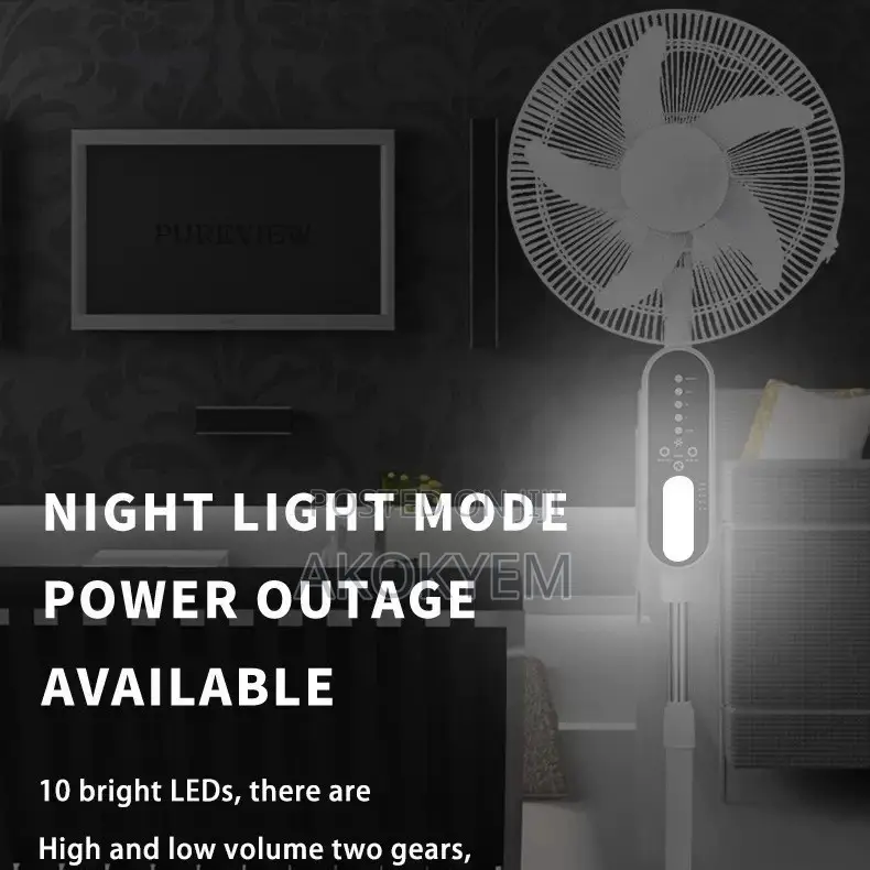 Rechargeable Fan