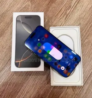 Apple iPhone 16 Pro Max 256 GB Gray