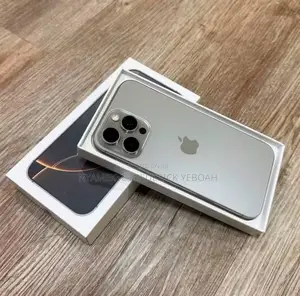 Apple iPhone 16 Pro Max 256 GB Gray