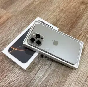 Apple iPhone 16 Pro Max 256 GB Gray