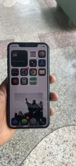Apple iPhone 11 Pro Max 256 GB Gray