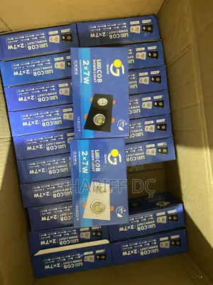 Cob Down Light/ Double Sport Light 2x7w
