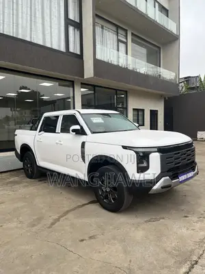 New Dongfeng Z9 2.3T Diesel 4WD 2026 White