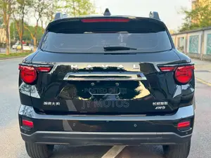Haval Big Dog 2024 Black