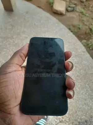 Apple iPhone 12 Pro 128 GB Black