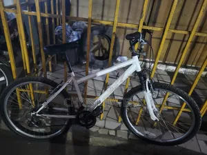 Bicycle White