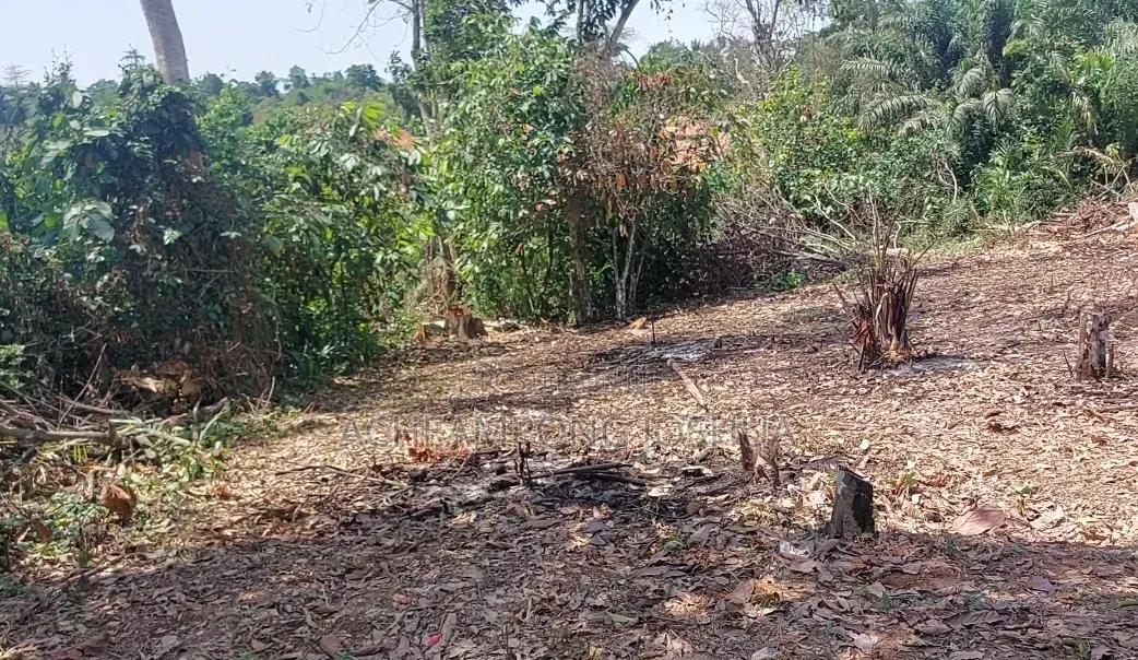 Plot of Land at Beimso No 1 (20mins Drive From Mogpa Ground) . 40000c
