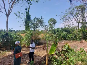 Plot of Land at Beimso No 1 (20mins Drive From Mogpa Ground) . 40000c