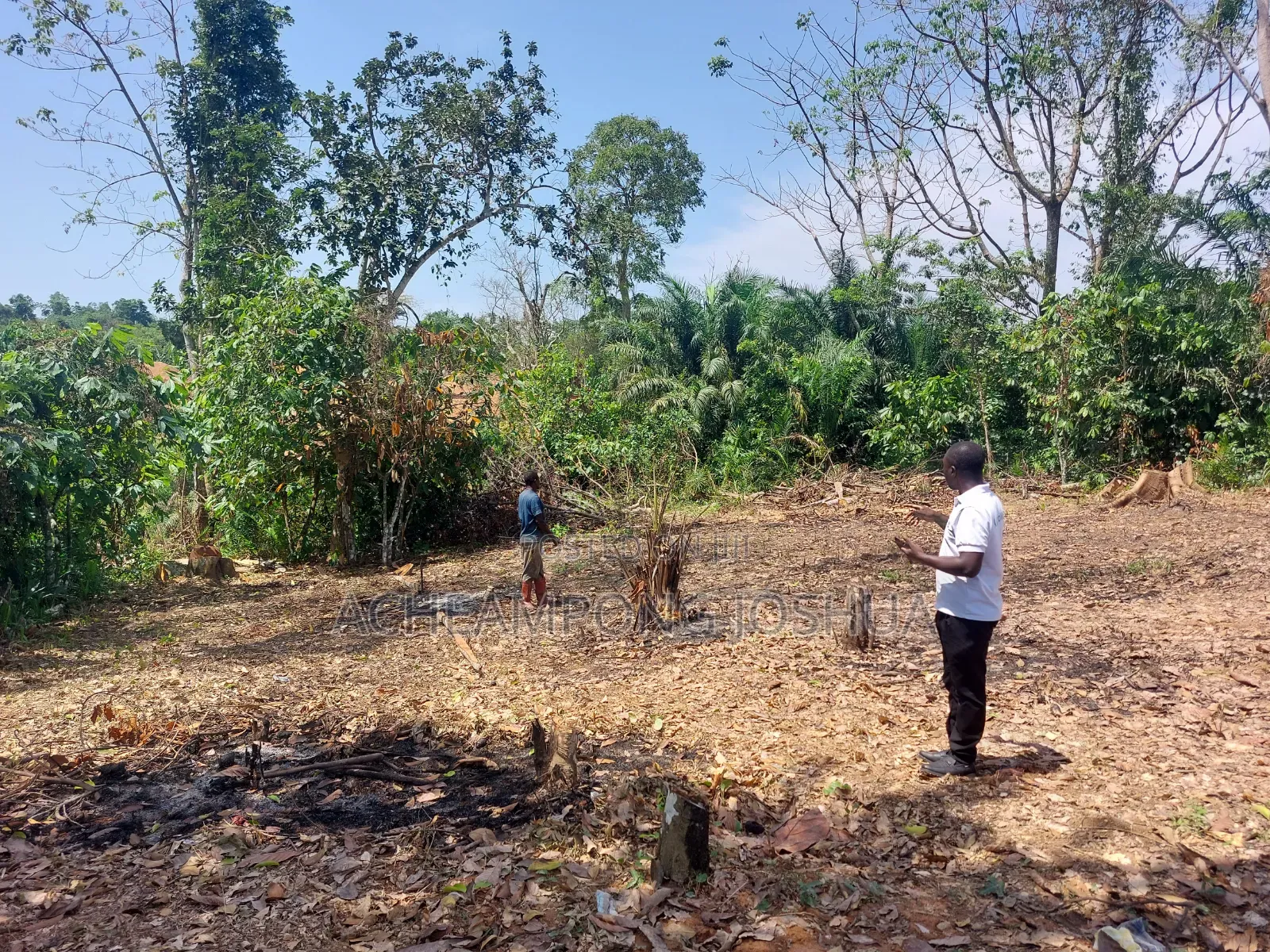 Plot of Land at Beimso No 1 (20mins Drive From Mogpa Ground) . 40000c