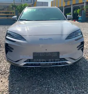 New BYD Song Plus 2025 Gray