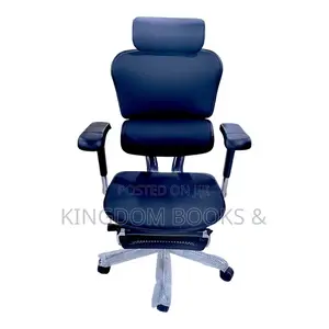 Executive Ergohuman Leather Swivel Office Chair With Footrest
