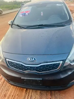 Kia Rio 2014 Gray