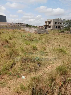 Estate 3 Plots of Land
