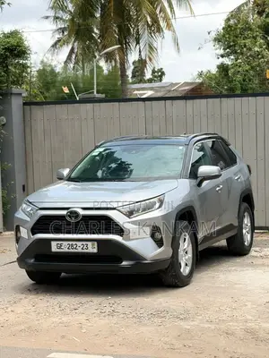 Toyota RAV4 XLE AWD 2019 Silver