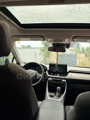Toyota RAV4 XLE AWD 2019 Silver