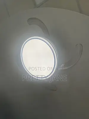 Ceiling Fan Light
