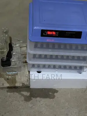 Automated Egg Incubator ( 200 Capacity)