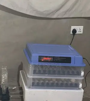 Automated Egg Incubator ( 200 Capacity)