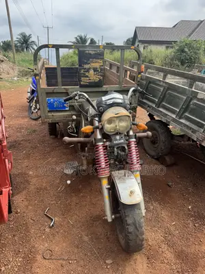 Haojin Tricycle 2022 Green