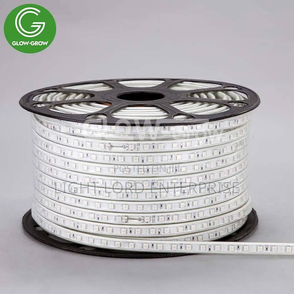 1v1 Shape Muiti Color Rope Light 100meters
