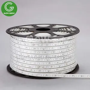 1v1 Shape Muiti Color Rope Light 100meters