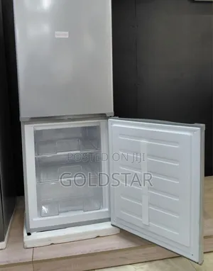 303L Saya Fridge