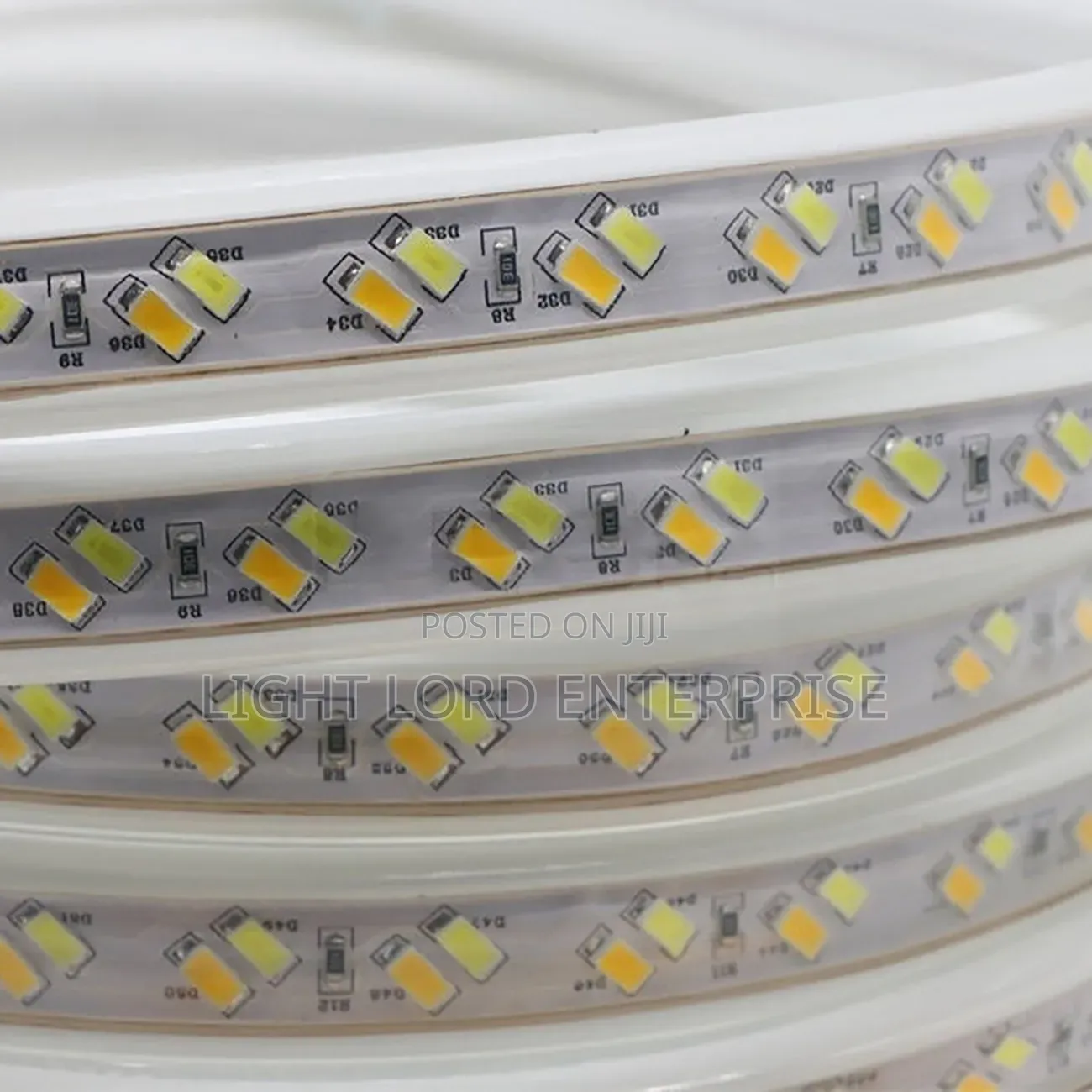 Orchid Tricolor SMD Rope Light