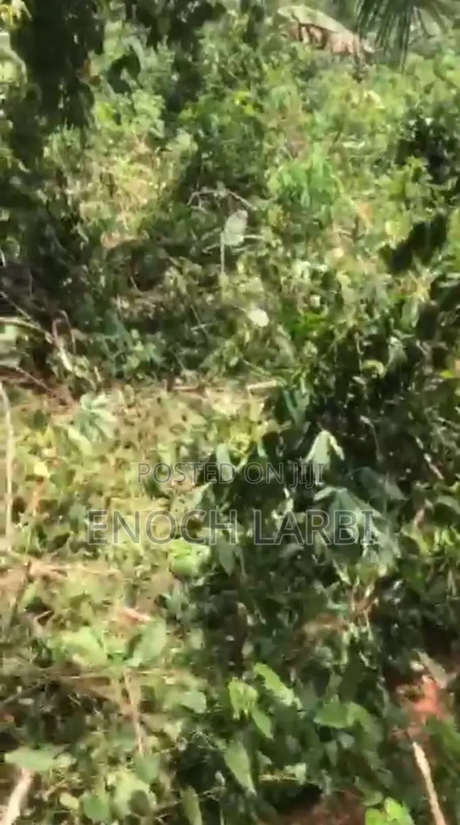 8.33 Acres Farmland for Sale, 1 Acre ( 4 Plots )