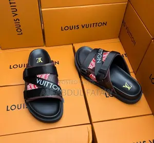 Louis Vuitton Flap
