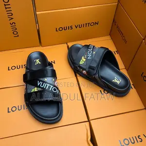 Louis Vuitton Flap