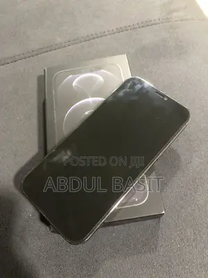 Apple iPhone 12 Pro 256 GB Gray