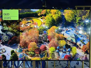 Samsung Qled 65 Inchs