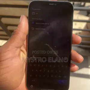 Apple iPhone 12 Pro Max 128 GB Black
