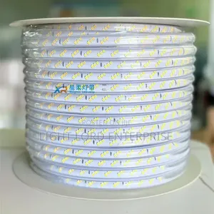 Modest Sure 100meters 3eye Single Color Rope Light Warm/White/Blue/Gre