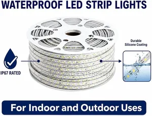 Modest Sure 100meters 3eye Single Color Rope Light Warm/White/Blue/Gre